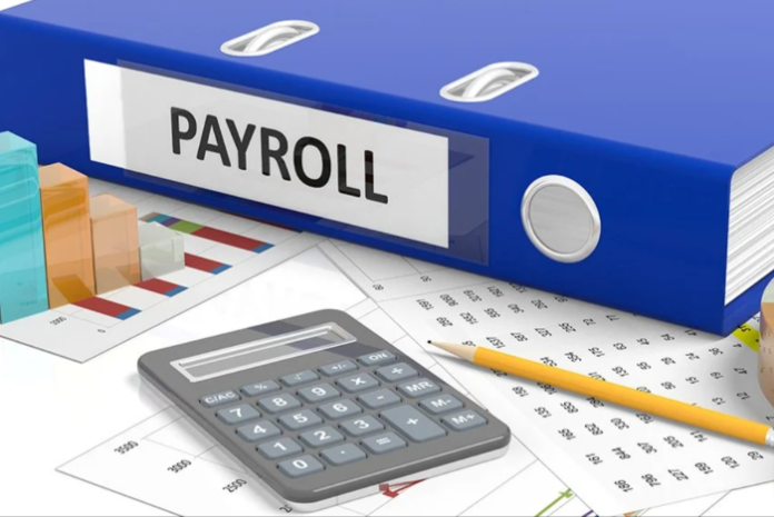 Why are Payroll Services Essential for Your Business Growth